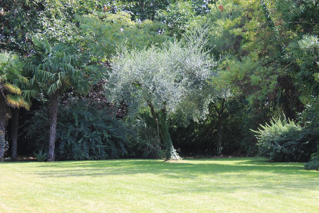 Villa Abbamer Grottaferrata Bagian luar foto