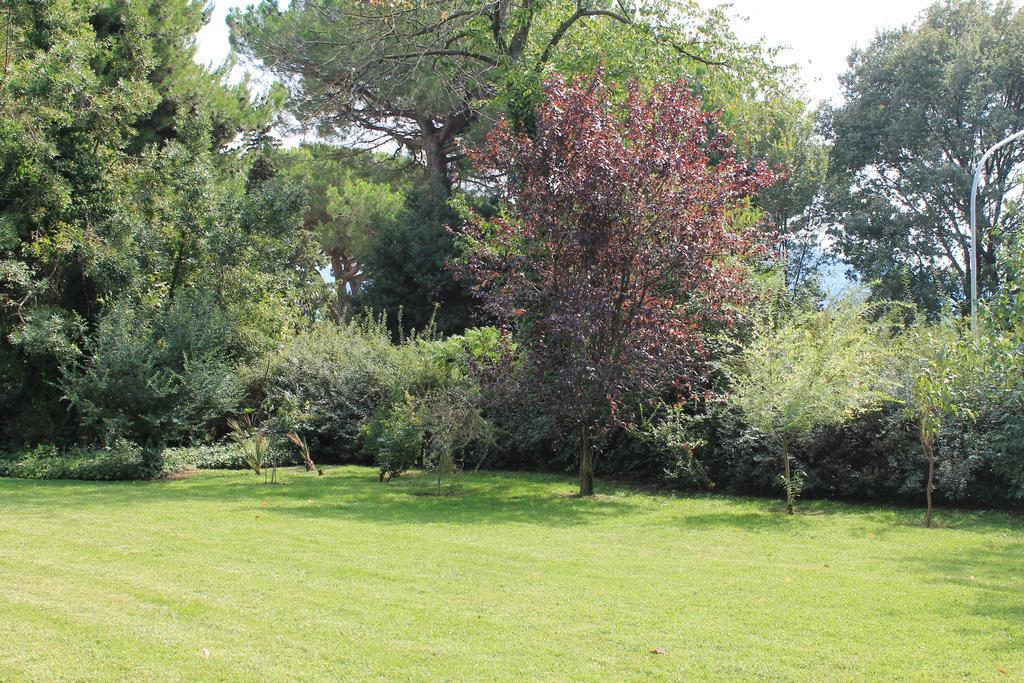 Villa Abbamer Grottaferrata Bagian luar foto