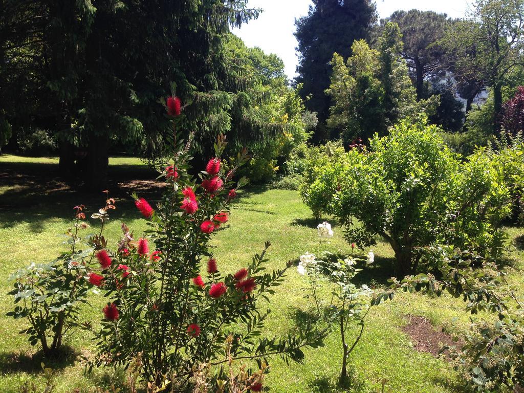 Villa Abbamer Grottaferrata Bagian luar foto